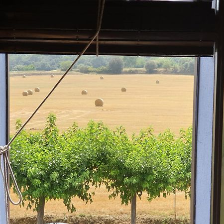 Apartaments Rurals Ai Manyac San Miguel de Cruilles Eksteriør bilde